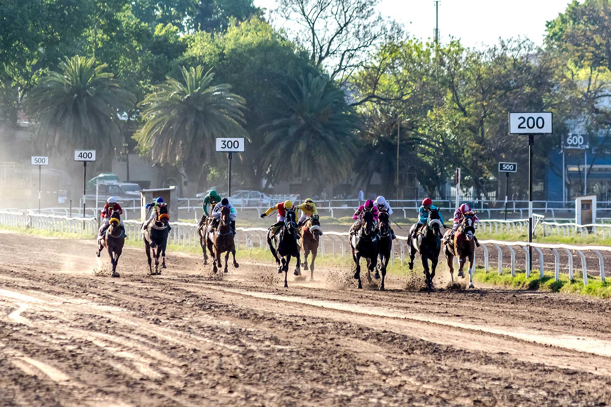 Reuniones Hípicas 2023 - Hipódromo